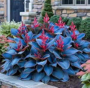 Хоста Грин Фог купить по цене от 669р. в интернет-магазине «Посадика» с доставкой почтой в в Снежинске и по всей России – [изображение №1].