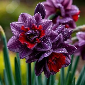 Нарцисс Минт Флер купить по цене от 2000р. в интернет-магазине «Посадика» с доставкой почтой в в Снежинске и по всей России – [изображение №1].