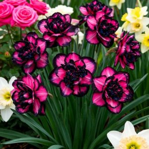 Нарцисс Золотая Корона купить по цене от 2000р. в интернет-магазине «Посадика» с доставкой почтой в в Снежинске и по всей России – [изображение №1].