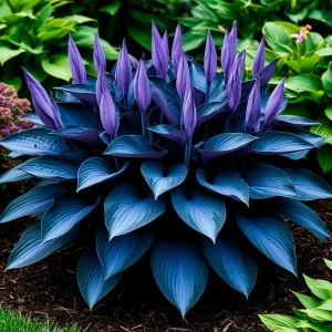 Хоста Сикрет Гров купить по цене от 570р. в интернет-магазине «Посадика» с доставкой почтой в в Снежинске и по всей России – [изображение №1].