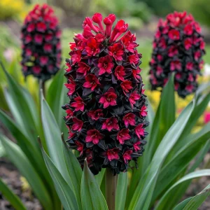 Гиацинт Джем Стоун купить по цене от 2099р. в интернет-магазине «Посадика» с доставкой почтой в в Снежинске и по всей России – [изображение №1].