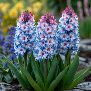 Гиацинт Пинк Мари купить по цене от 2099р. в интернет-магазине «Посадика» с доставкой почтой в в Снежинске и по всей России – [изображение №1].