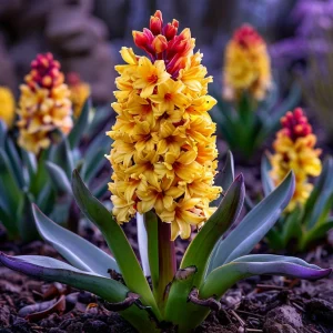 Гиацинт Миднайт Мистери купить по цене от 2099р. в интернет-магазине «Посадика» с доставкой почтой в в Снежинске и по всей России – [изображение №1].