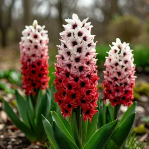 Гиацинт Скай Гарден купить по цене от 2099р. в интернет-магазине «Посадика» с доставкой почтой в в Снежинске и по всей России – [изображение №1].